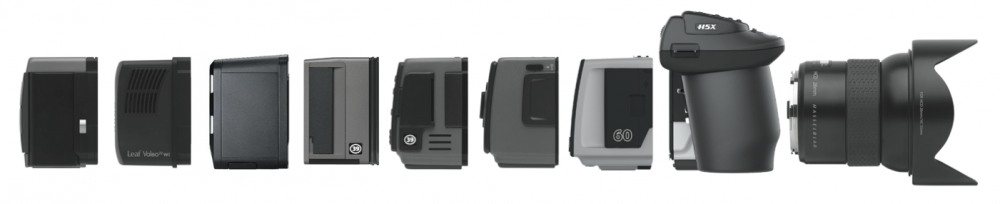 hasselblad h3d film back
