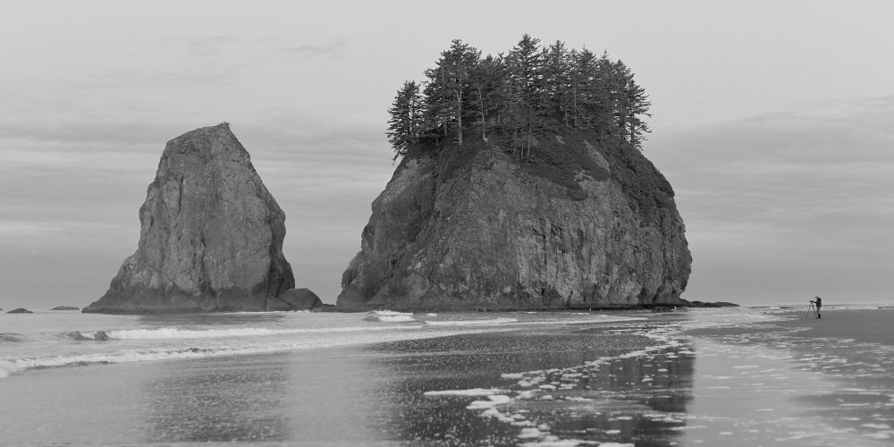 Workshop ONP Olympic National Park Gear 2018 Event