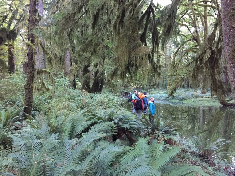 Workshop ONP Olympic National Park Gear 2018 Event BTS