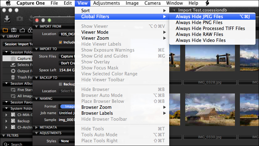capture one view global filters 