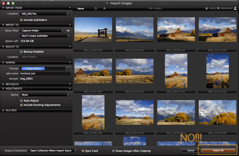 capture one pro import window - import all