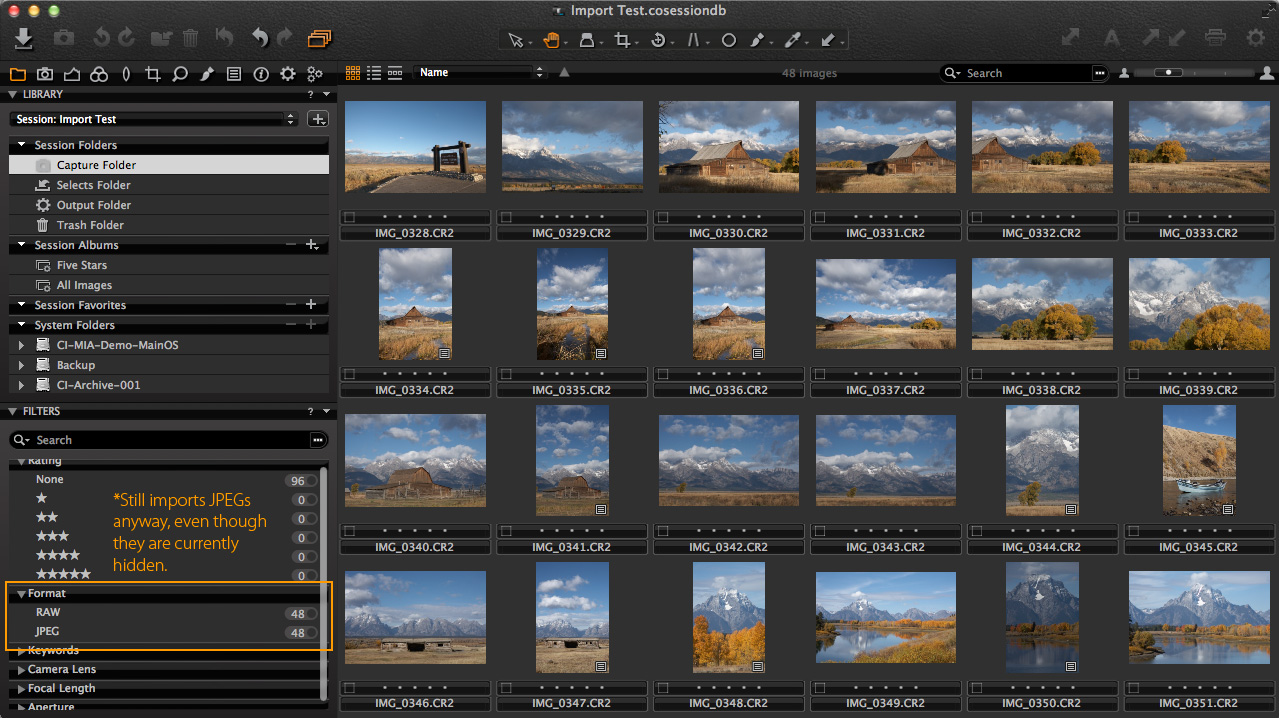 capture one pro import window - import all results