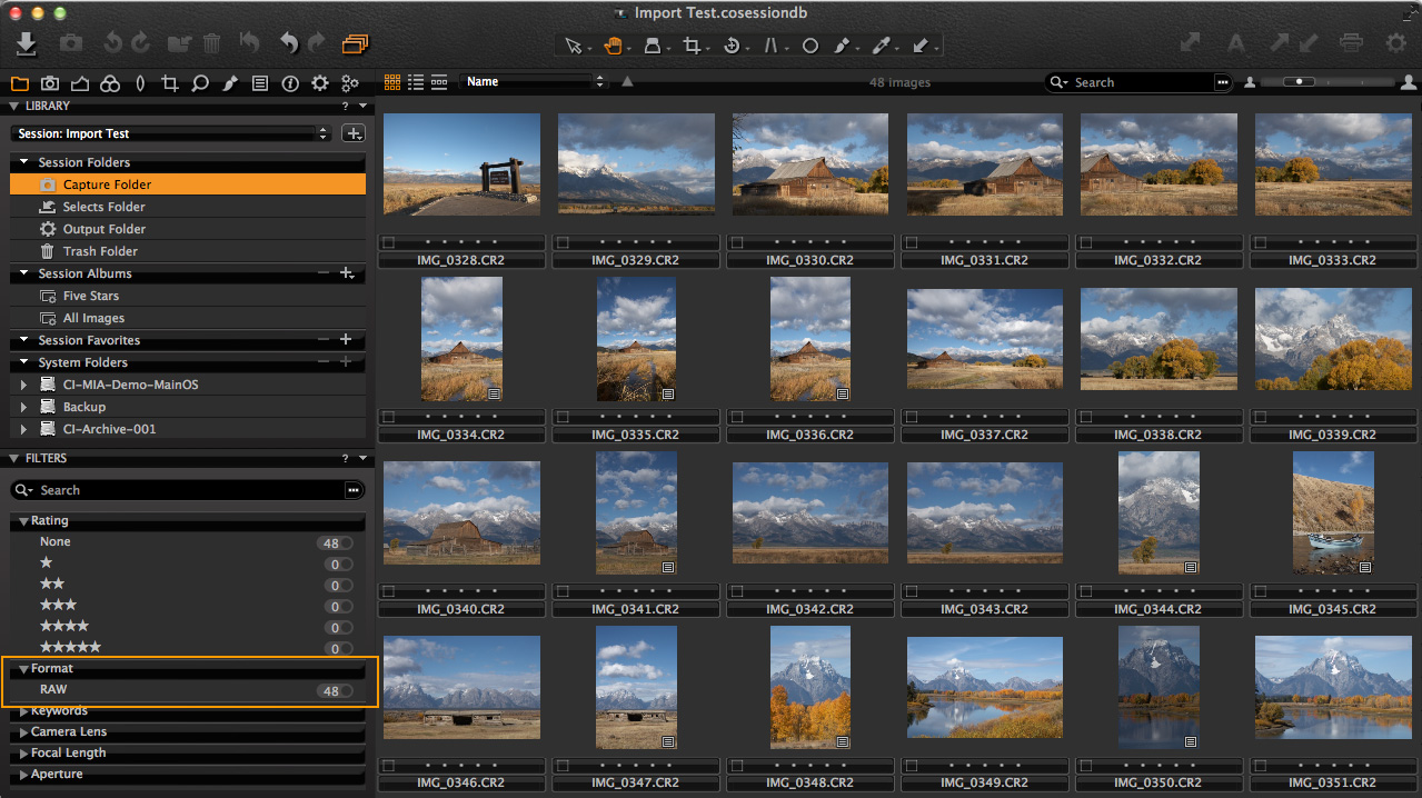 capture one pro import window - import selected results 