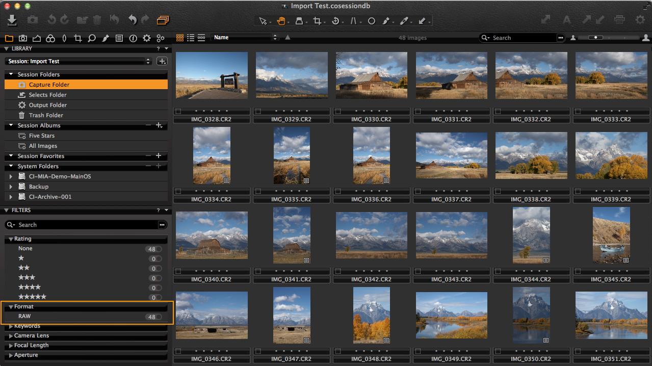 capture one pro import window - import selected results