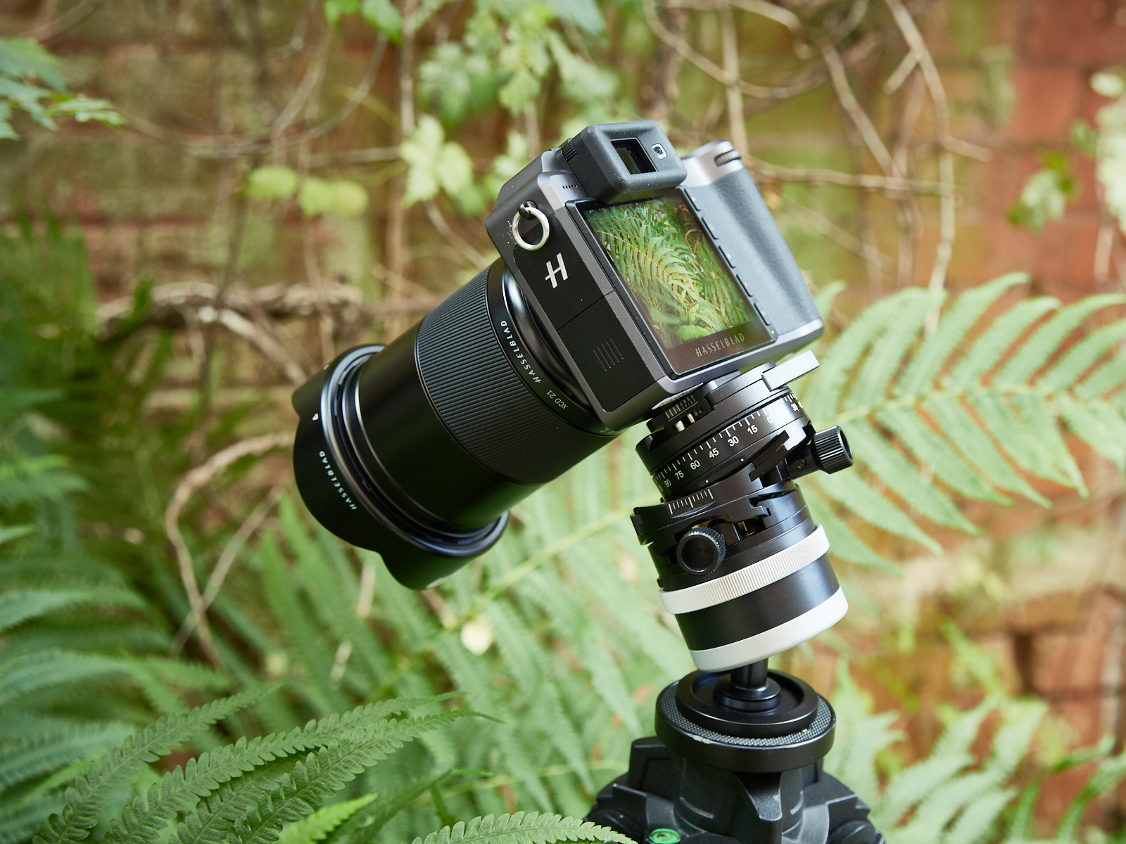 CI Team Pick Our Favorite ArcaSwiss Tripod Heads Capture Integration