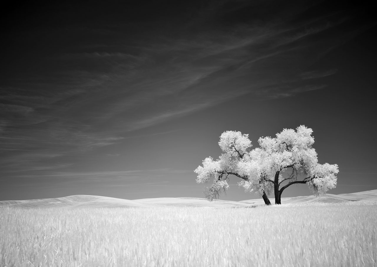 www.captureintegration.com