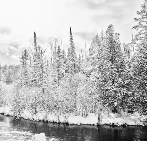 Capture One Film simulations
