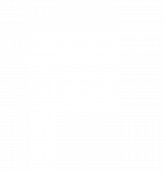 Capture Capture